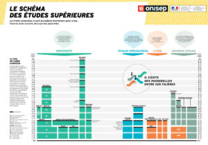 Schéma des études supérieures