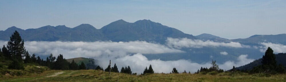 Libmol Sciences De La Vie Et De La Terre Au Lyc e